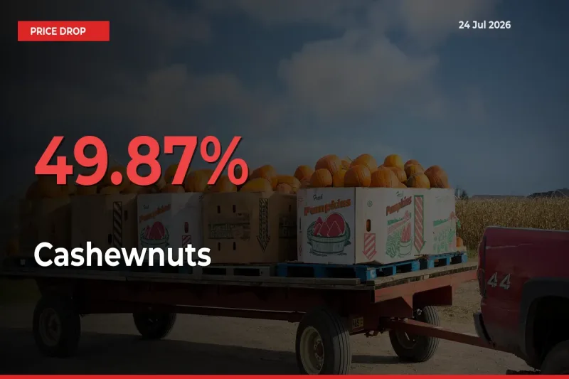 Cashewnuts Falls 49.87% at Mandis