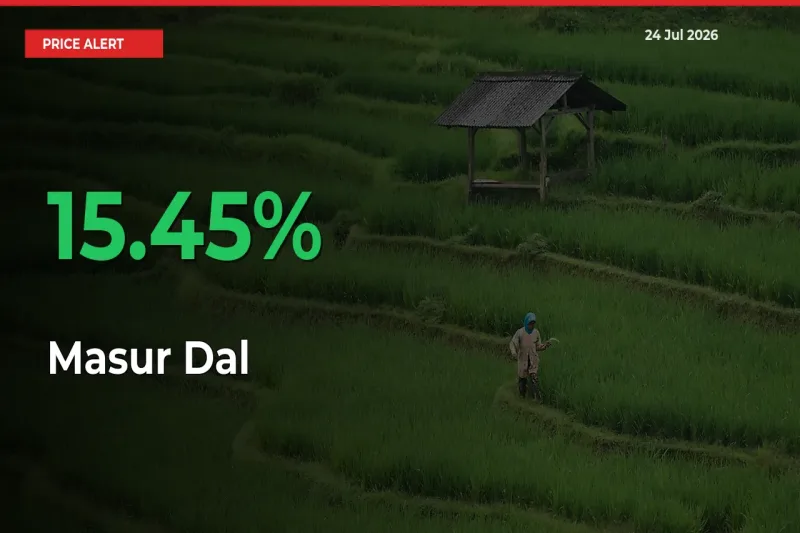 15.45% Spike in Masur Dal Prices – Mandi Sees Sudden Rally