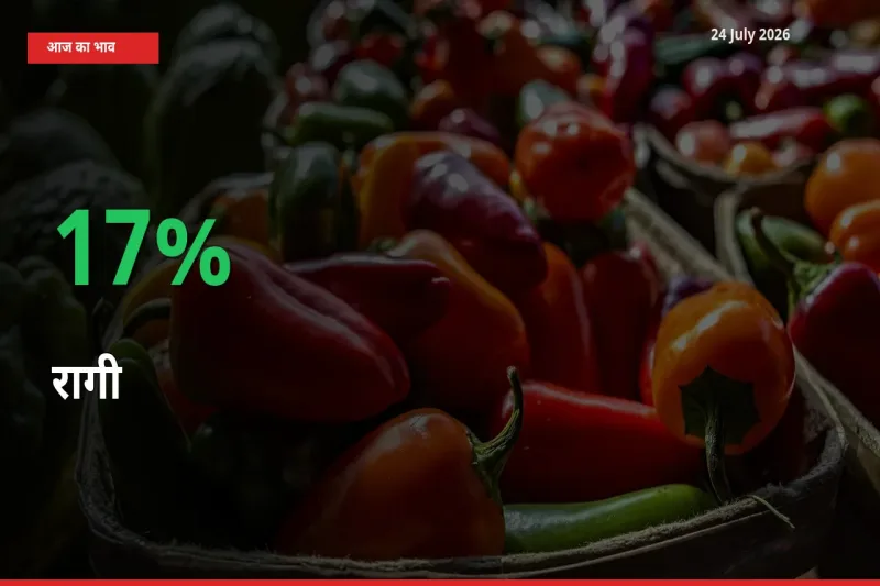 अचानक तेजी! मंडी में रागी के दाम 17% चढ़े