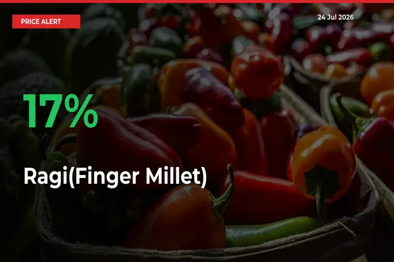 Big Rally! Ragi(Finger Millet) Climbs 17% in 24 Hours at Top Mandis