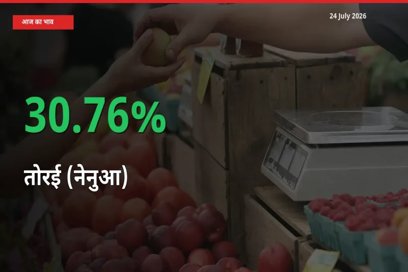तेज़ तेजी! मंडी में तोरई (नेनुआ) के दाम 30.76% चढ़े