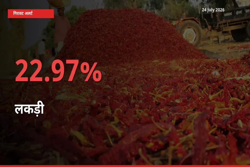 24 July अपडेट: लकड़ी के दाम मंडी में 22.97% गिरे