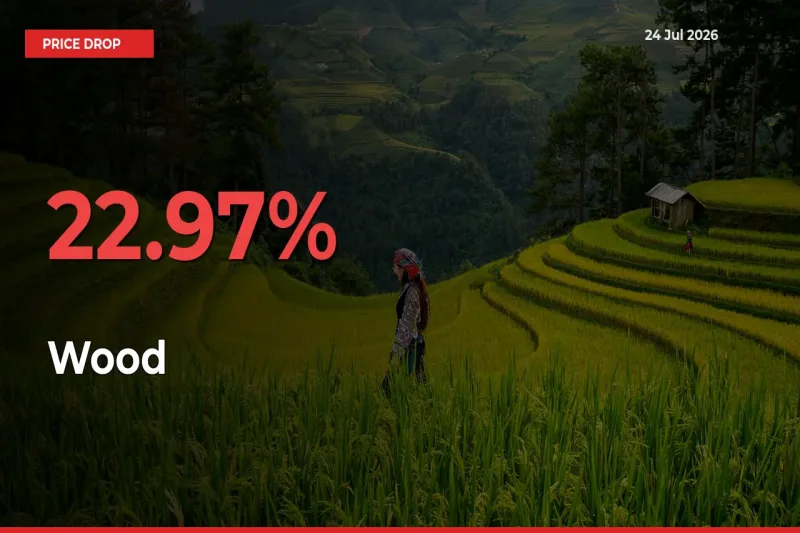 22.97% Drop in Wood Prices – Mandi Sees Sudden Fall