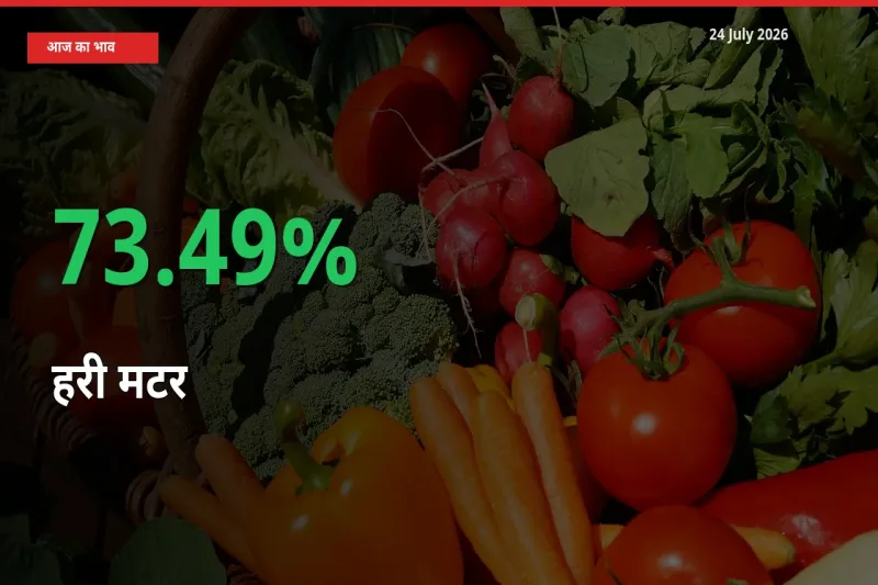 हरी मटर के दाम प्रमुख मंडी में 73.49% बढ़े, 24 घंटे में बड़ा बदलाव