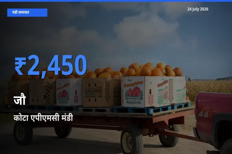 आज का मंडी भाव: जौ के सबसे ज़्यादा दाम कोटा एपीएमसी में