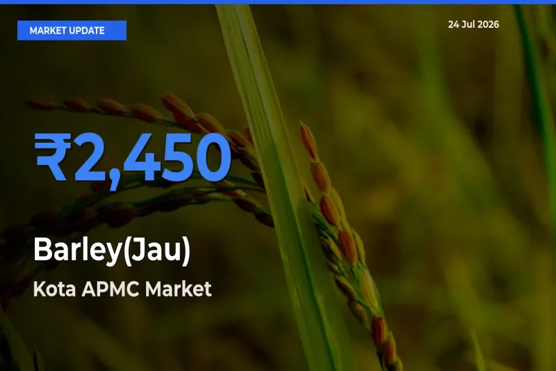 Kota APMC Tops Barley(Jau) Mandi Rates Today