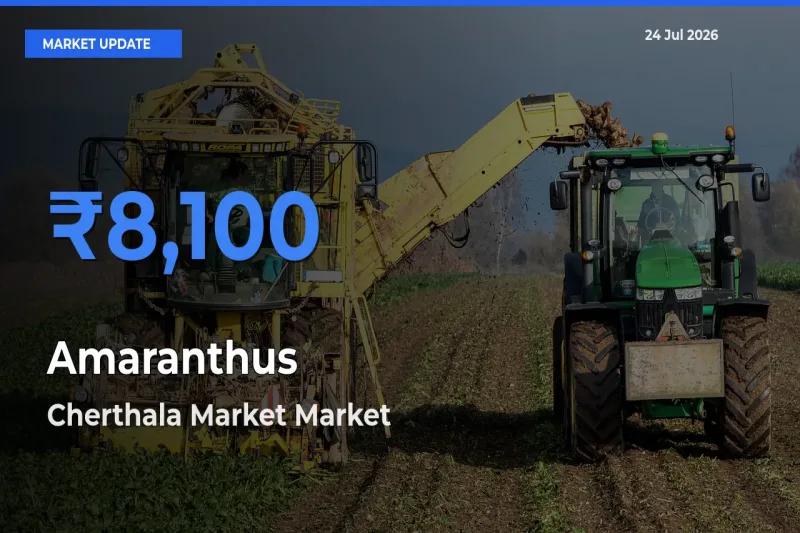 Cherthala Market Emerges as Top Mandi for Amaranthus Prices Today