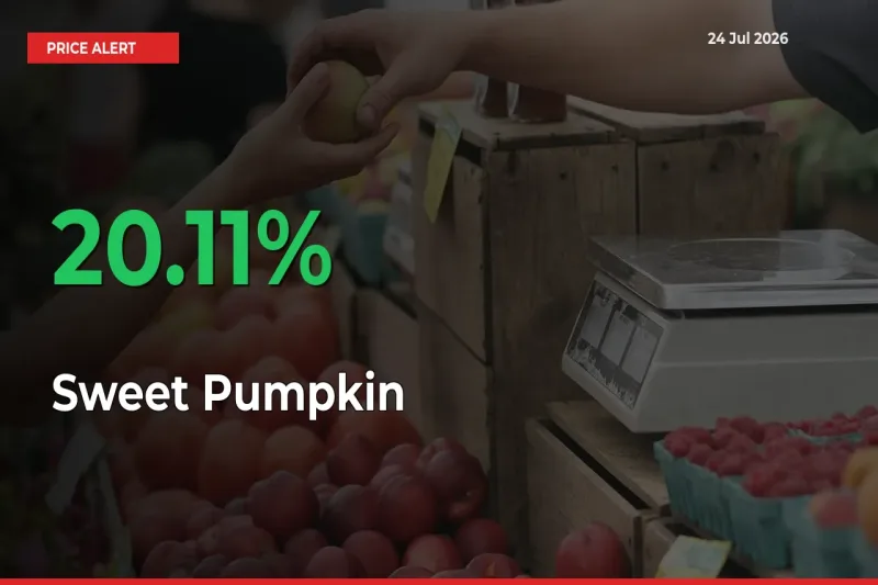 20.11% Spike in Sweet Pumpkin Prices – Mandi Sees Sudden Rally