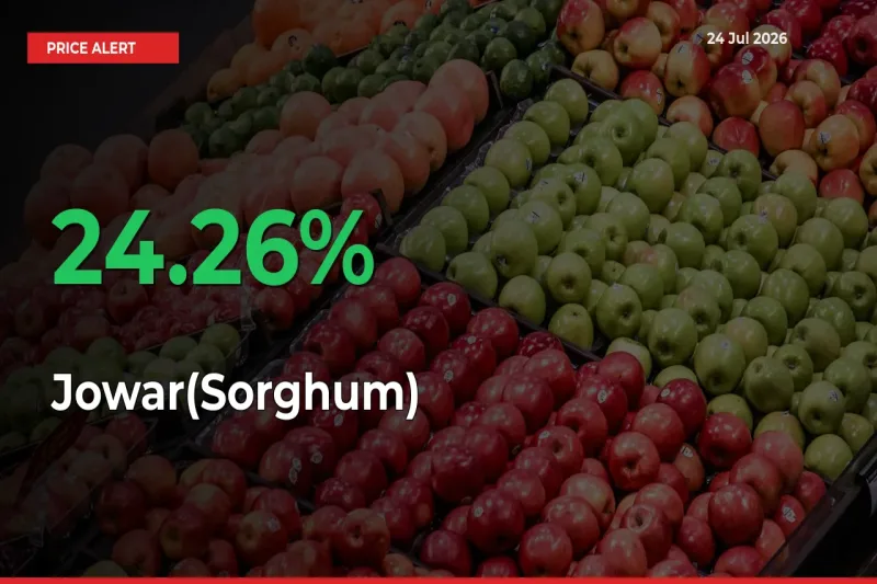 Jowar(Sorghum) Rises 24.26% at Mandis