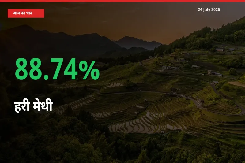 तेज़ तेजी! मंडी में हरी मेथी के दाम 88.74% चढ़े