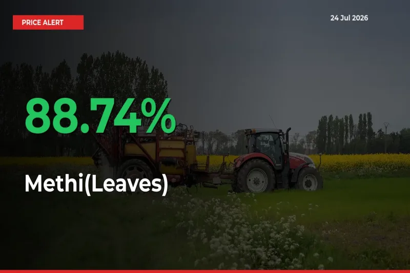 Big Rally! Methi(Leaves) Climbs 88.74% in 24 Hours at Top Mandis