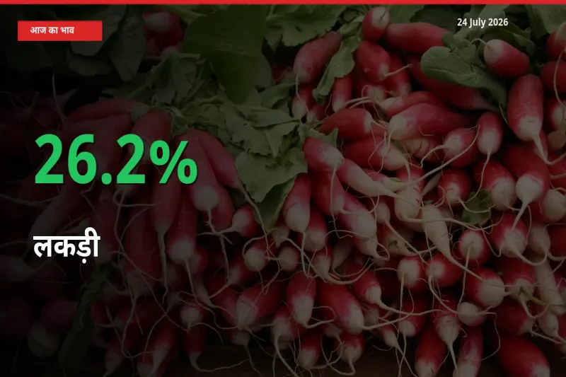 तेज़ तेजी! मंडी में लकड़ी के दाम 26.2% चढ़े