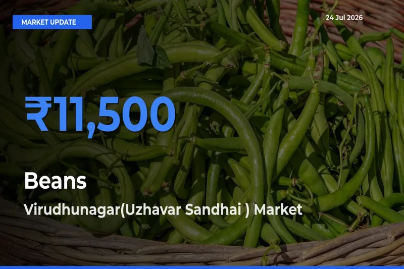 Virudhunagar(Uzhavar Sandhai ) Tops Beans Rates – July 24 Market Update