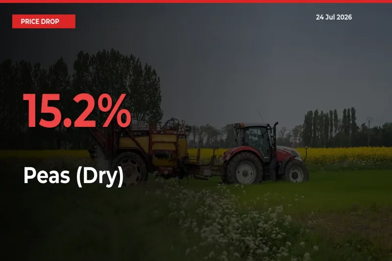 Peas (Dry) Falls 15.2% at Mandis