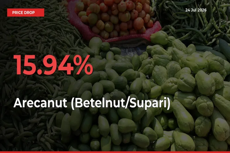 Arecanut (Betelnut/Supari) Prices Drop 15.94% in 24 Hours at Major Mandis