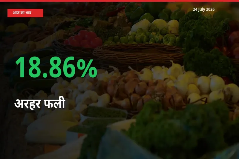 अरहर फली के दाम प्रमुख मंडी में 18.86% बढ़े, 24 घंटे में बड़ा बदलाव