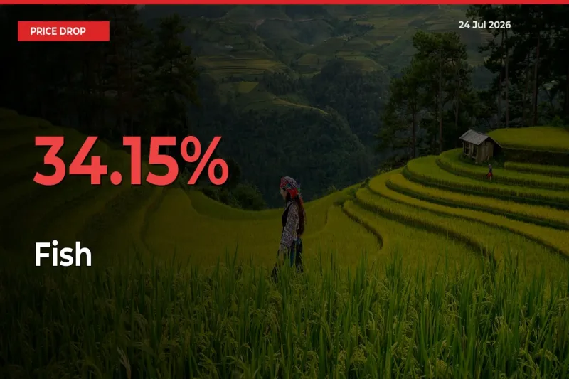 Fish Falls 34.15% at Mandis