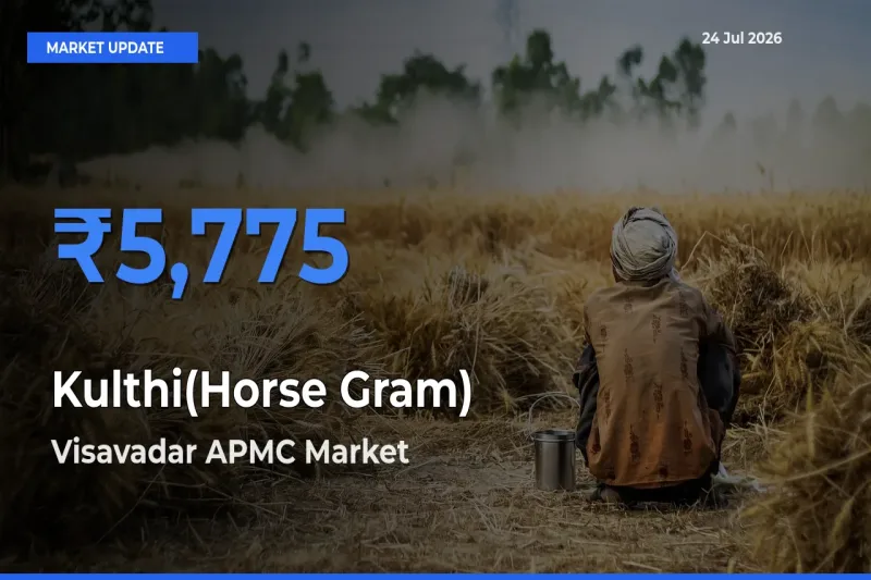 Visavadar APMC Tops Kulthi(Horse Gram) Rates – July 24 Market Update