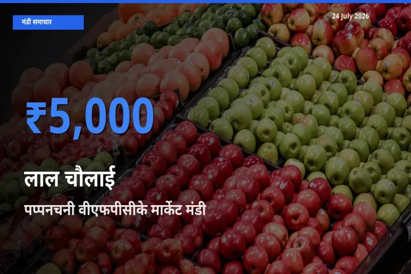 बाज़ार संकेत: पप्पनचनी वीएफपीसीके मार्केट बना लाल चौलाई के लिए आज की टॉप मंडी