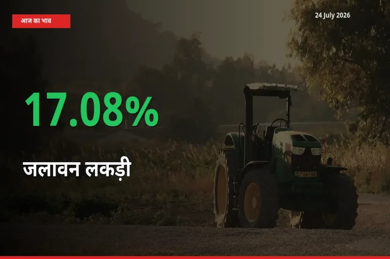 आज का मंडी भाव: जलावन लकड़ी के दाम मंडी में 17.08% ऊपर