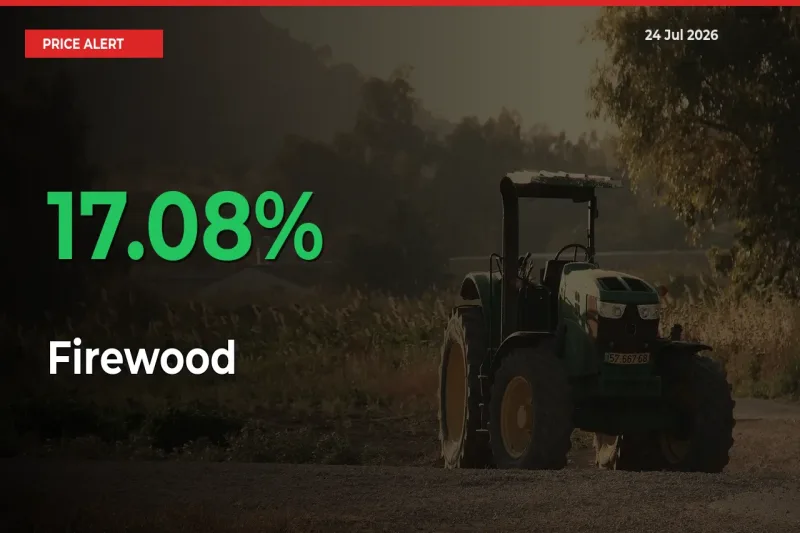 17.08% Spike in Firewood Prices – Mandi Sees Sudden Rally
