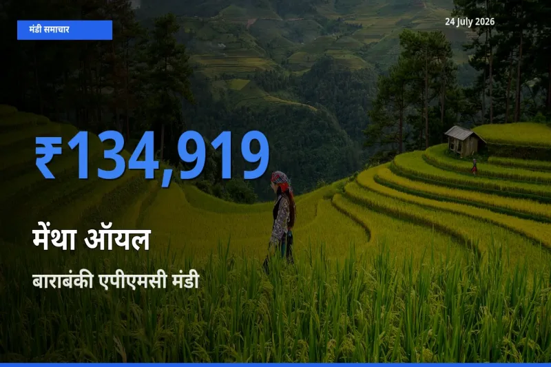 बाराबंकी एपीएमसी मंडी में मेंथा ऑयल ₹134,919 पर पहुँचा – आज का सर्वोच्च भाव
