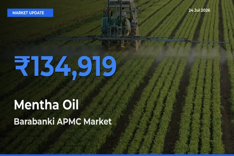 Farmers Prefer Barabanki APMC as Mentha Oil Hits Highest Rate