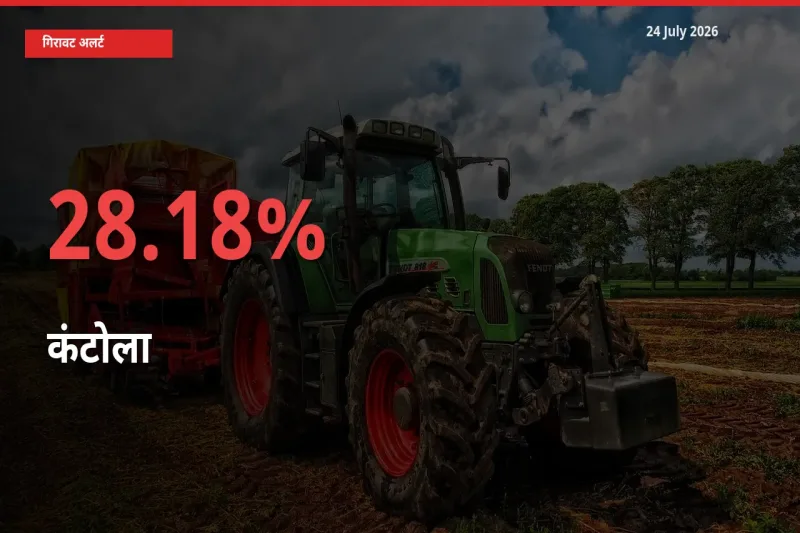 कंटोला 28.18% गिरा, मंडी