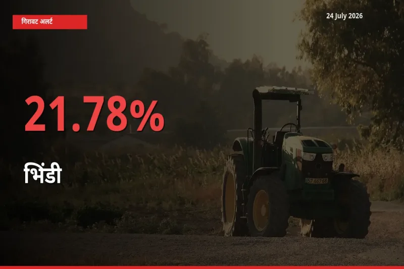 आज का मंडी भाव: भिंडी के दाम मंडी में 21.78% नीचे