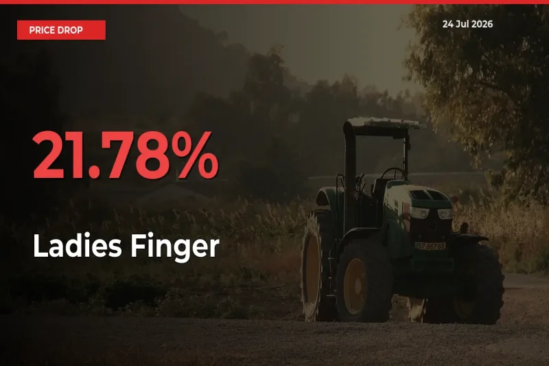 Ladies Finger Prices Drop 21.78% – July 24 Market Update from Mandis
