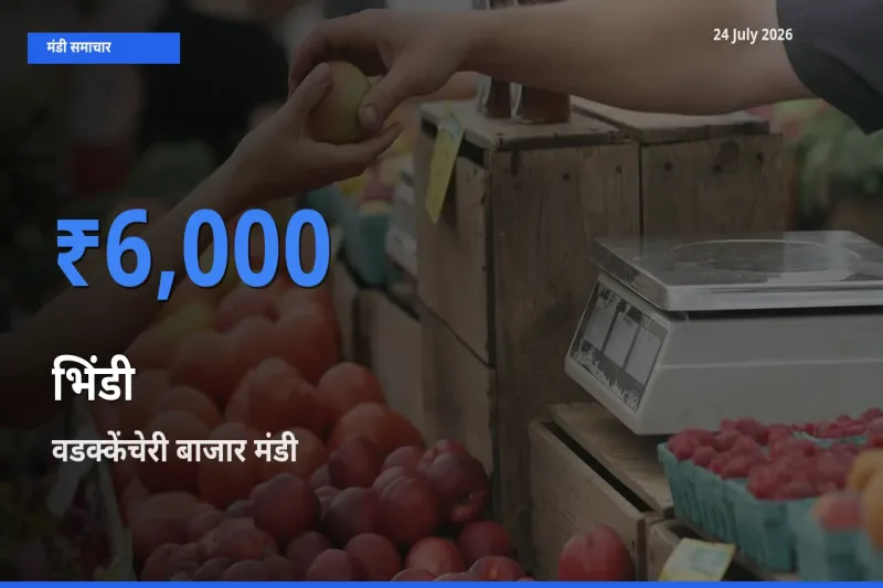 वडक्केंचेरी बाजार मंडी में भिंडी ₹6,000 पर पहुँचा – आज का सर्वोच्च भाव
