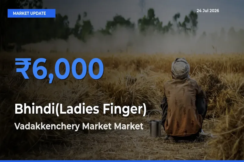 Farmers Prefer Vadakkenchery Market as Bhindi(Ladies Finger) Hits Highest Rate