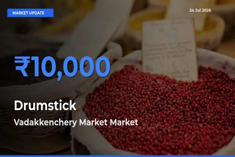 Top Performer! Vadakkenchery Market Offers Best Drumstick Price Today