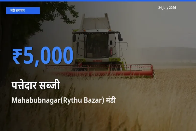 टॉप मंडी बना Mahabubnagar(Rythu Bazar)! पत्तेदार सब्जी के सबसे ऊँचे दाम यहीं दर्ज