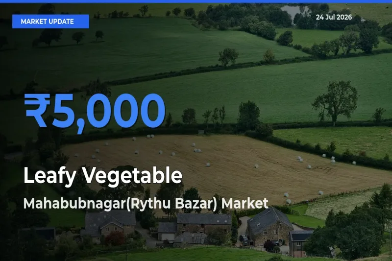 Mahabubnagar(Rythu Bazar) Offers ₹5,000 – Highest Leafy Vegetable Rate Today