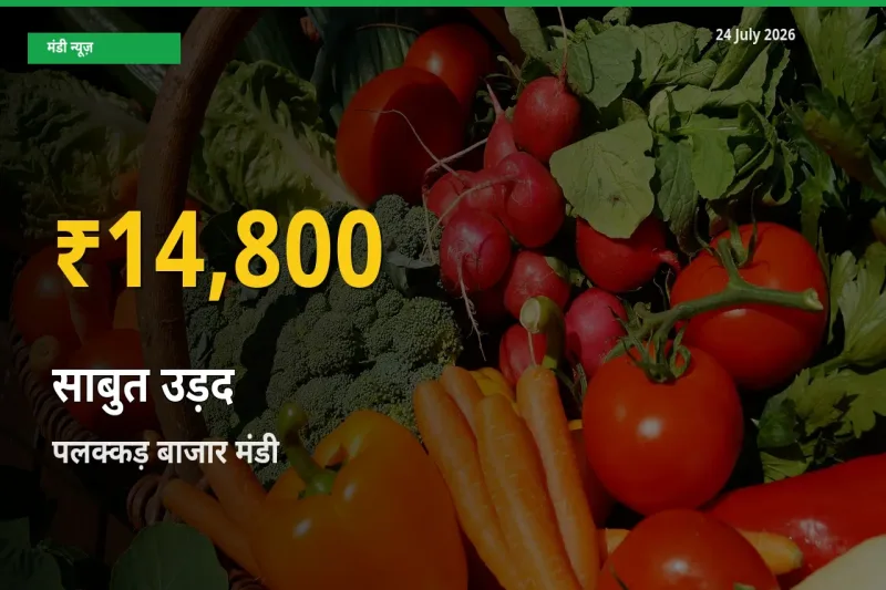 साबुत उड़द के दामों में रिकॉर्ड तेज़ी, पलक्कड़ बाजार