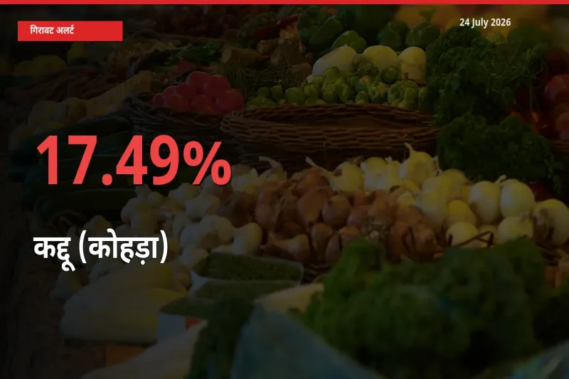 17.49% की गिरावट! मंडी में कद्दू (कोहड़ा) के दाम अचानक टूटे