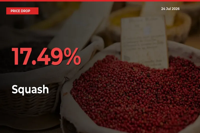 Sharp Fall! Squash Prices Plunge 17.49% in a Day at Key Mandis