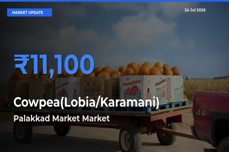 Market Watch: Palakkad Market Becomes Top Mandi for Cowpea(Lobia/Karamani)