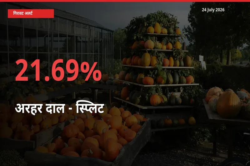 अरहर दाल - स्प्लिट 21.69% गिरा, मंडी