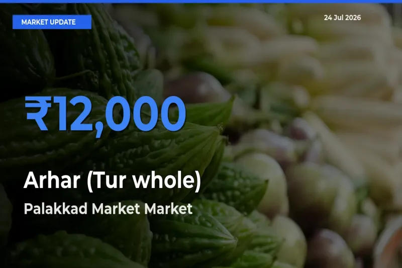 Market Watch: Palakkad Market Becomes Top Mandi for Arhar (Tur whole)
