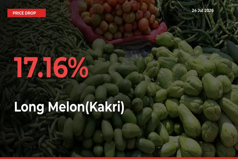 Long Melon(Kakri) Prices Drop 17.16% in 24 Hours at Major Mandis