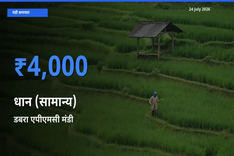 डबरा एपीएमसी में धान (सामान्य) का आज सबसे ऊँचा भाव