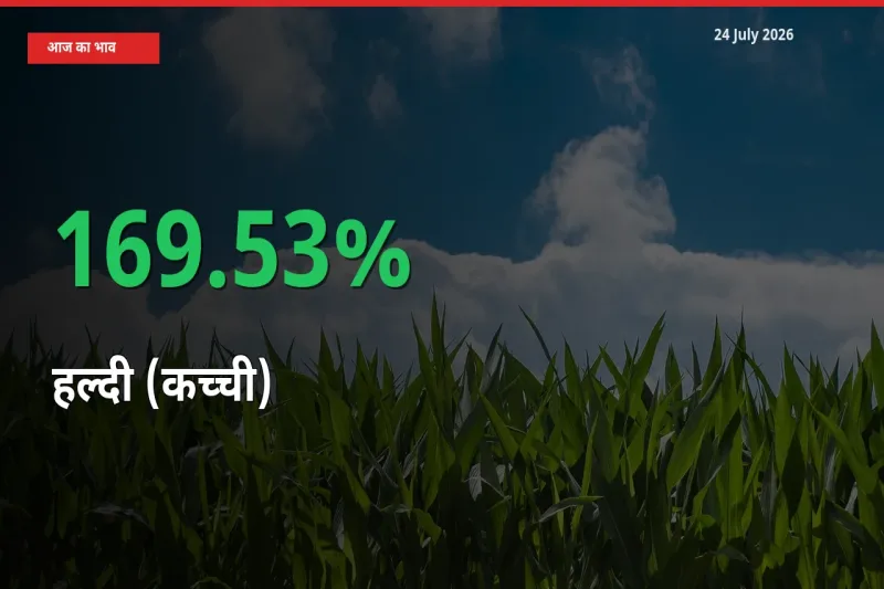 24 July अपडेट: हल्दी (कच्ची) के दाम मंडी में 169.53% उछले