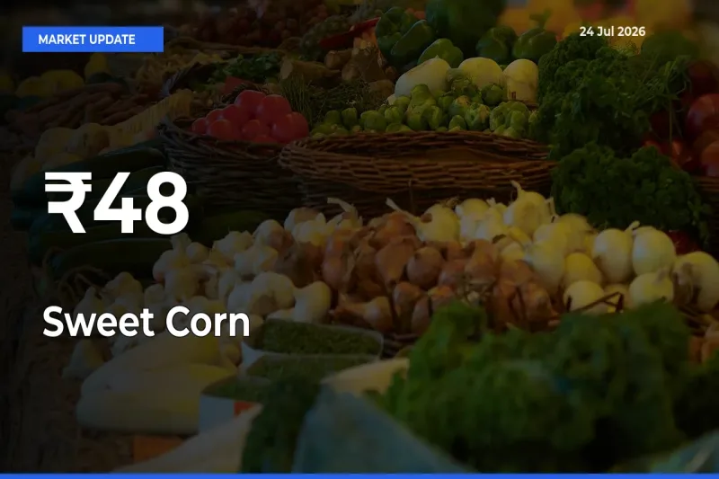 Sweet Corn  Mandi Prices Move in Sync Across Major Markets Today