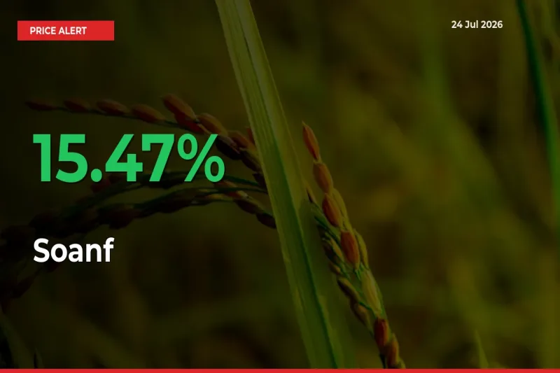 Sharp Jump! Soanf Prices Climb 15.47% in 24 Hours at Key Mandis