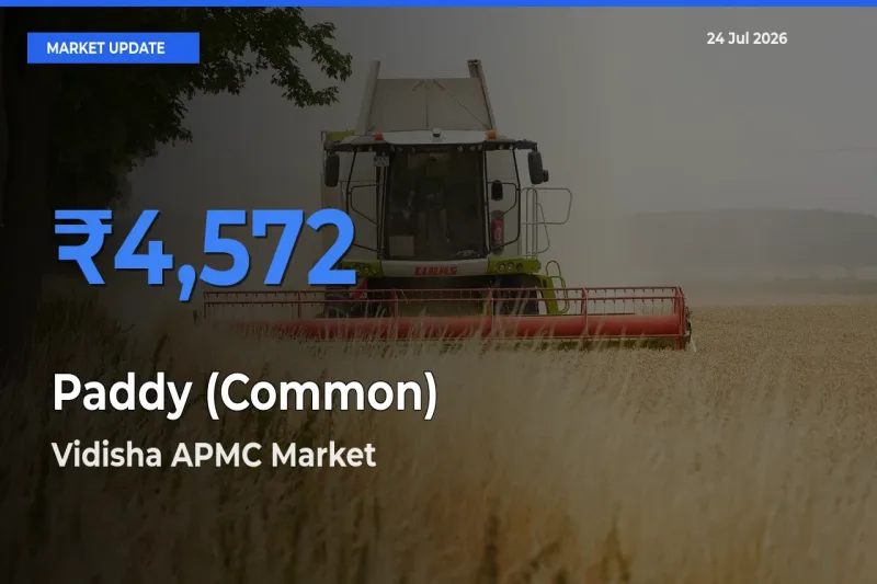Vidisha APMC Tops Paddy (Common) Mandi Rates Today