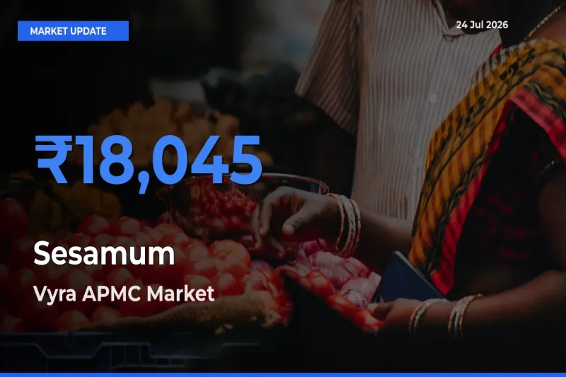 Farmers Prefer Vyra APMC as Sesamum Hits Highest Rate