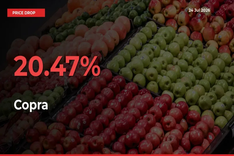 Copra Prices Drop 20.47% in 24 Hours at Major Mandis
