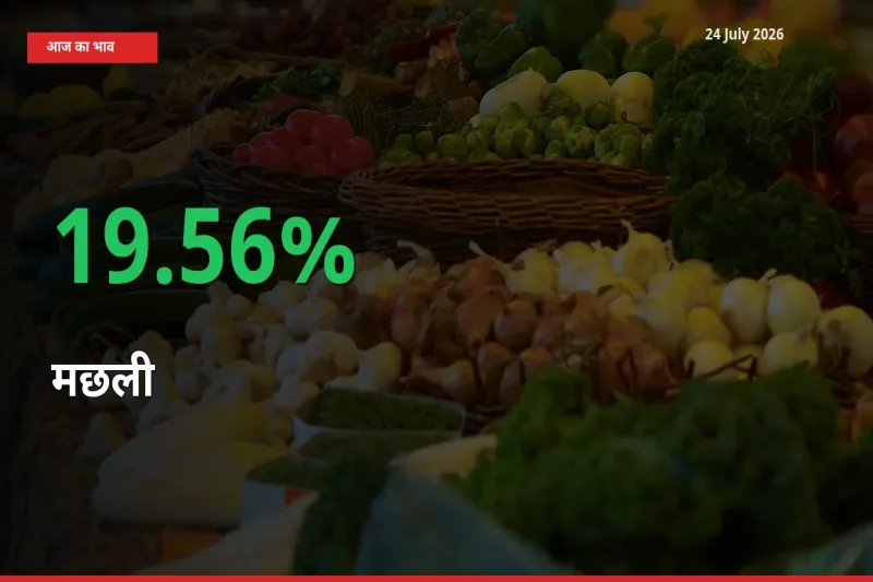 मछली के दाम प्रमुख मंडी में 19.56% बढ़े, 24 घंटे में बड़ा बदलाव